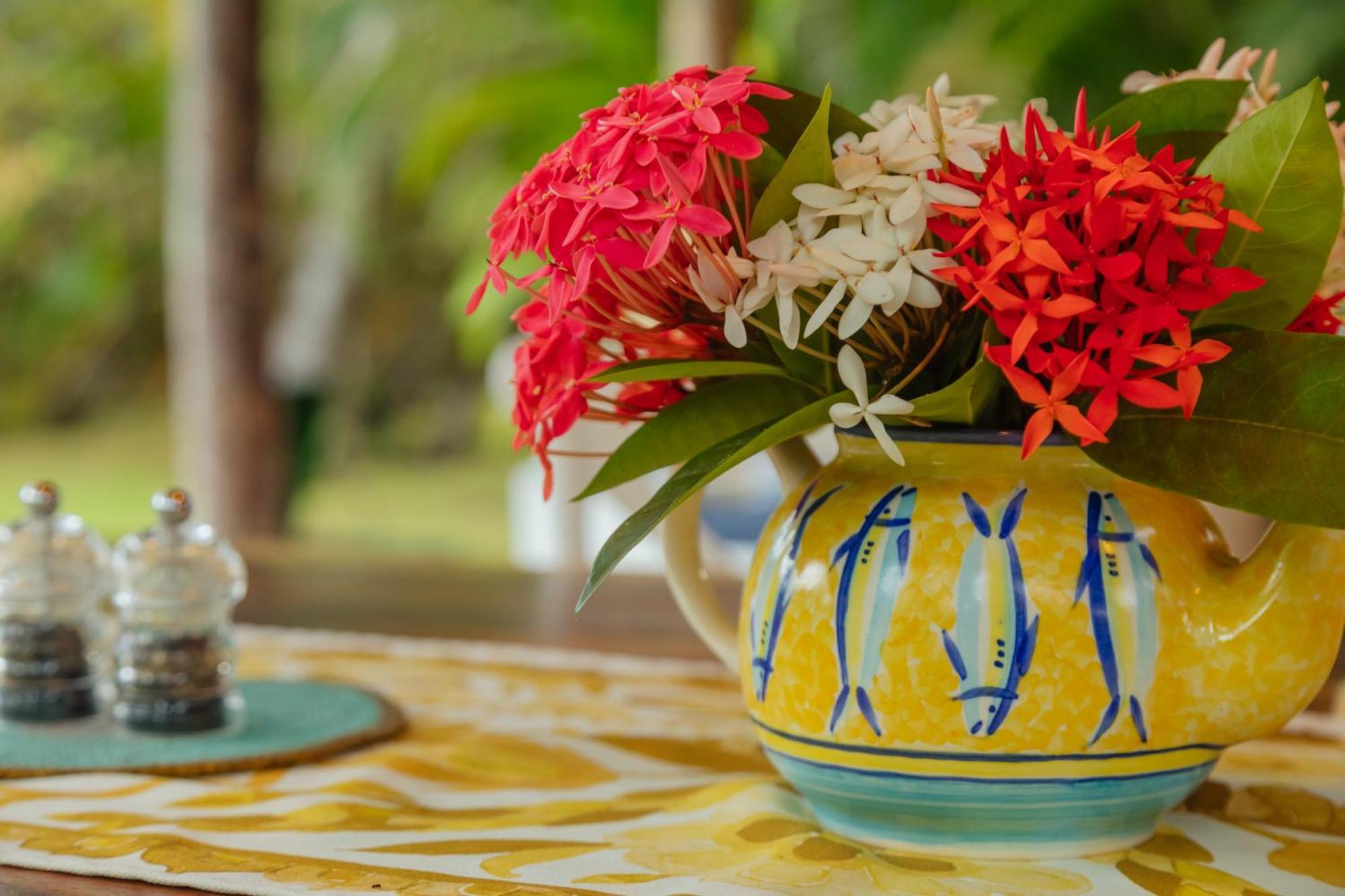 Solea Villa Tropical Santa Marta  Eksteriør billede