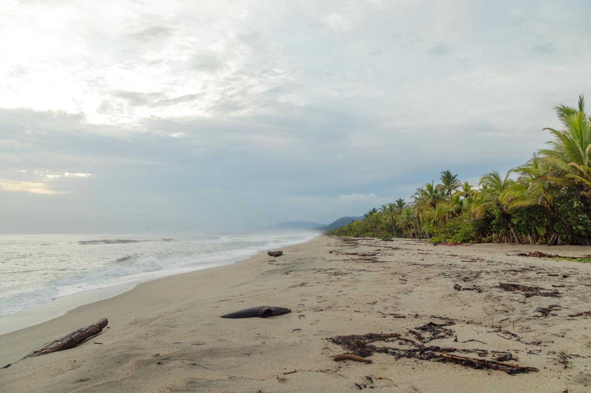 Solea Villa Tropical Santa Marta  Eksteriør billede