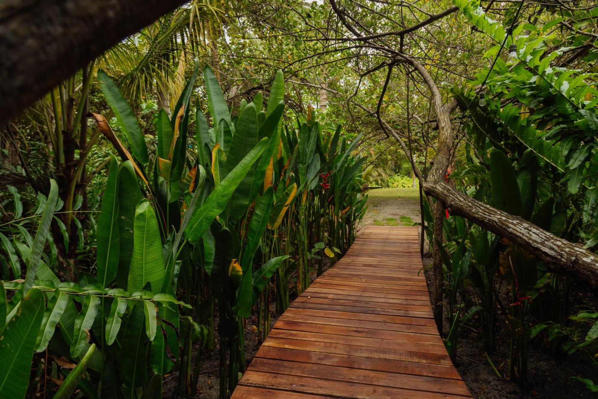 Solea Villa Tropical Santa Marta  Eksteriør billede