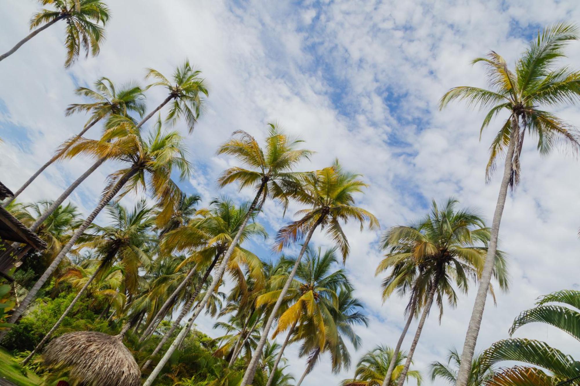 Solea Villa Tropical Santa Marta  Eksteriør billede