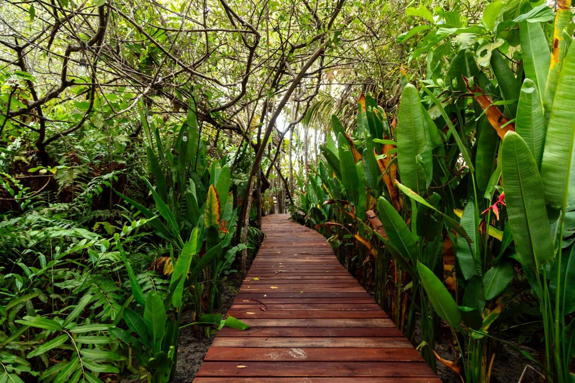 Solea Villa Tropical Santa Marta  Eksteriør billede